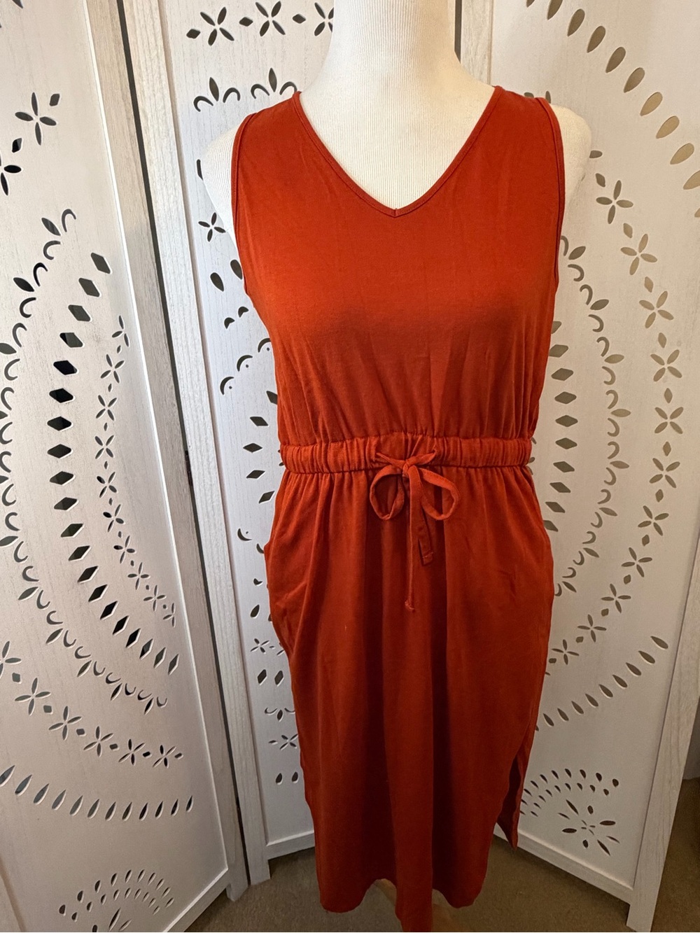 Sleeveless V-Neck Dress in Brick Red